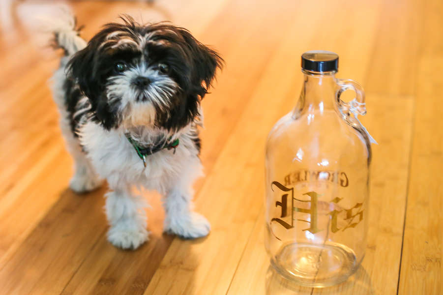 Beer Growler History Why It's Called a Growler Thrillist