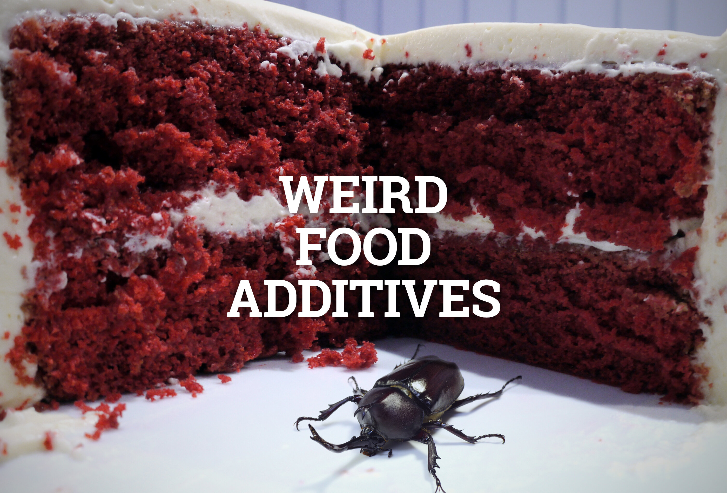 Weird Food Additives Bugs Butt And More Thrillist Nation
