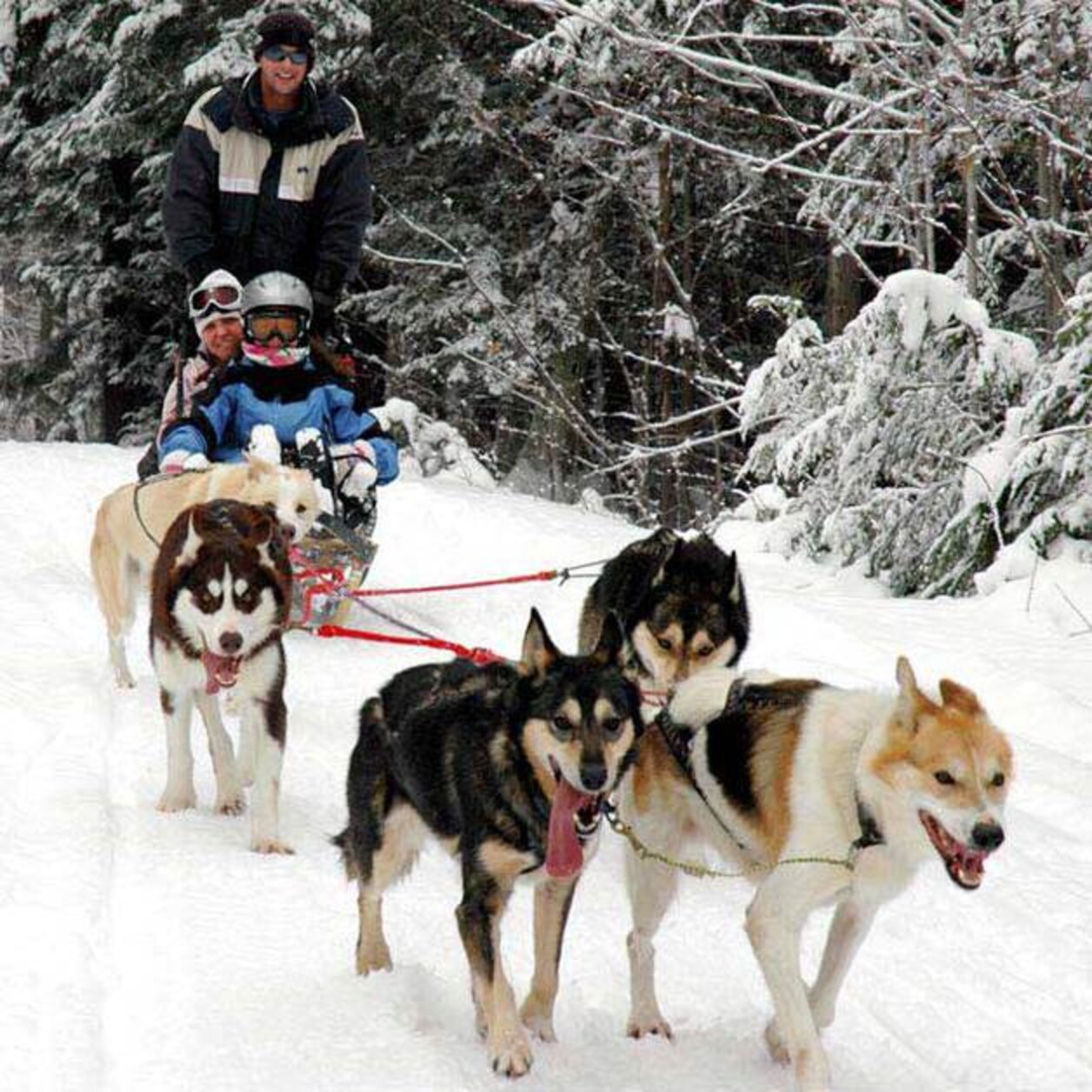 Things to Do in Massachusetts - Fun Things to Do in Winter - Thrillist