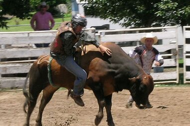 Fear No Evil Bull Riding Challenge - Things to Do in New Orleans This ...