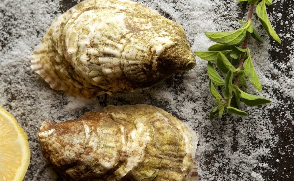 Ostra: A Boston, MA Restaurant.