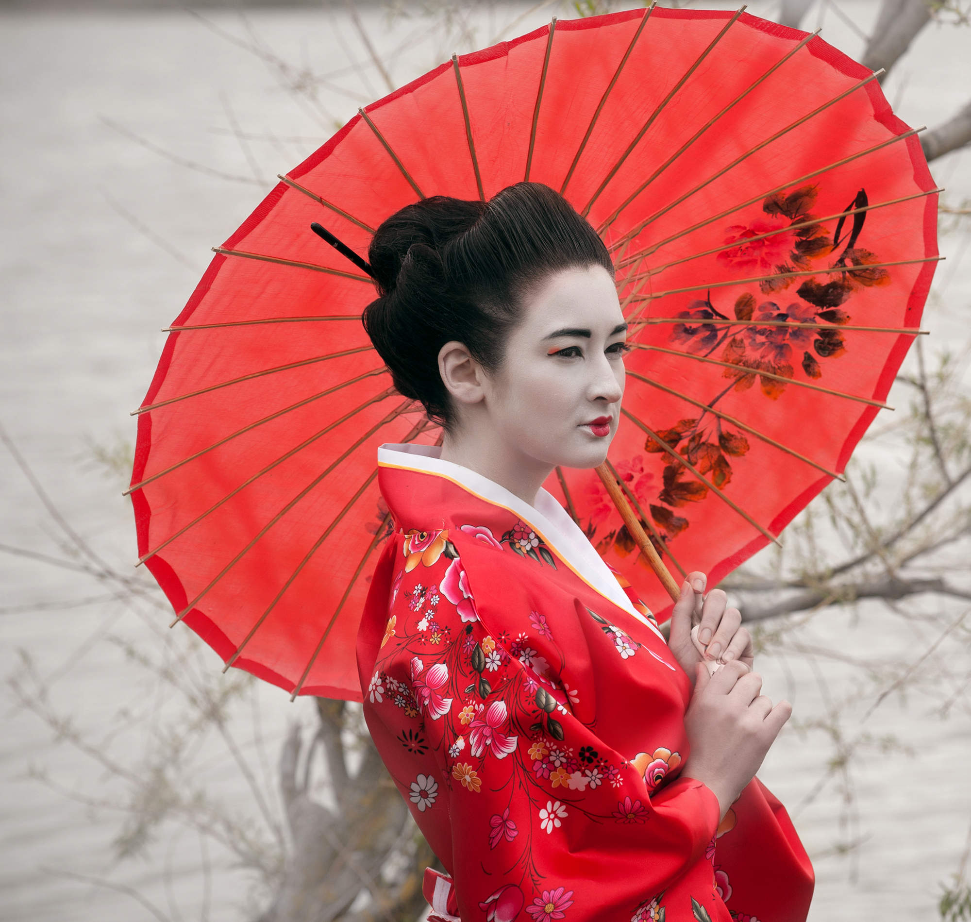 How to Meet a Geisha in Kyoto without Breaking the Bank - Art of the ...