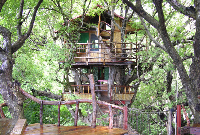 Treehouse Hotels - The World's 10 Coolest Treehouse Hotels - Thrillist