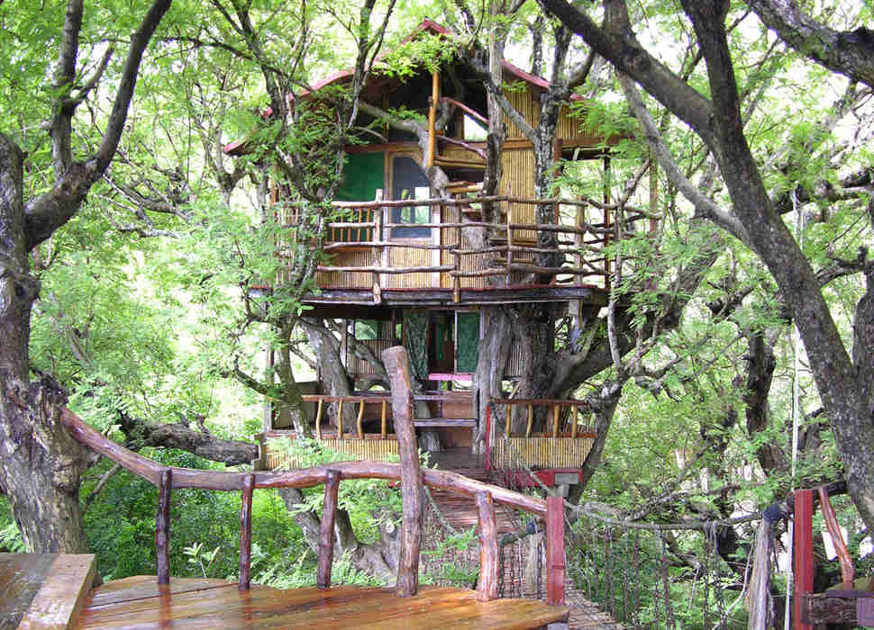 wedding sands cost point castle World Best Hotels   the Thrillist Treehouse in