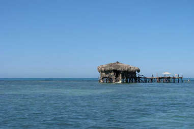 Floyd's Pelican Bar