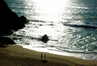 San Gregorio Nude Beach: A San Francisco, CA Venue.