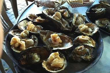 Oysters gilhooley