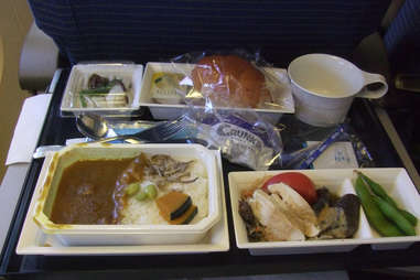 Gross airplane meal