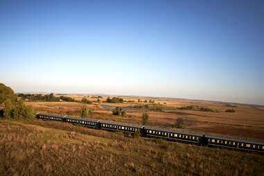 safari train