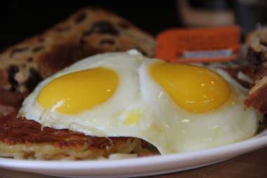 eggs