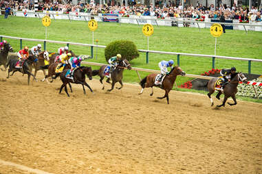 The Preakness Stakes