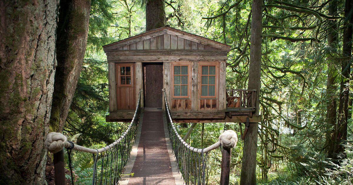 Treehouse Hotels - The World's 10 Coolest Treehouse Hotels - Thrillist