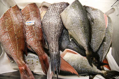 fish ready to be filleted