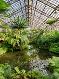 greenhouse