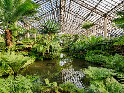 greenhouse