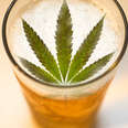 weed beer