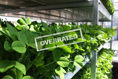 microgreens