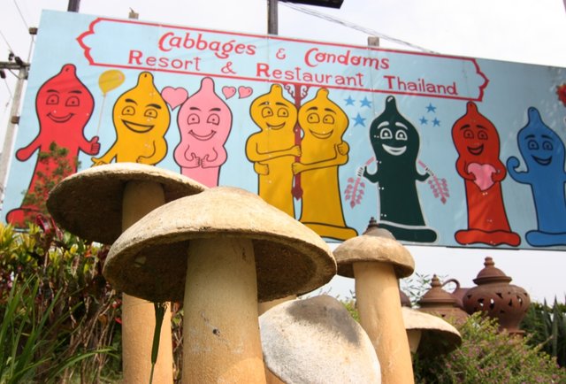 Thrillist.com - Cabbage and Condom