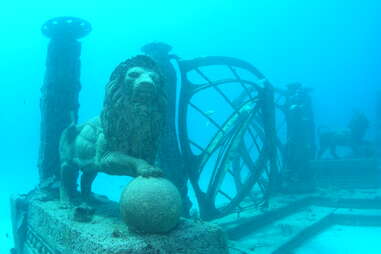 underwater lions