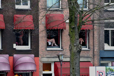 Legs in Amsterdam Red Light District windows