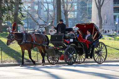 hansom cab