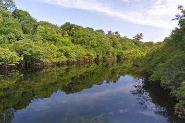 Rio Negro on the Amazon