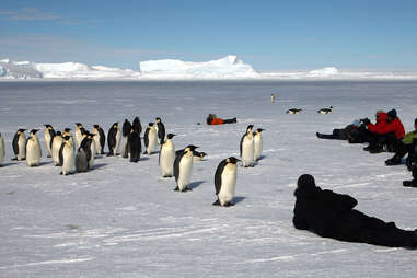 Ski the South Pole on an Antarctic Snow Safari - Thrillist