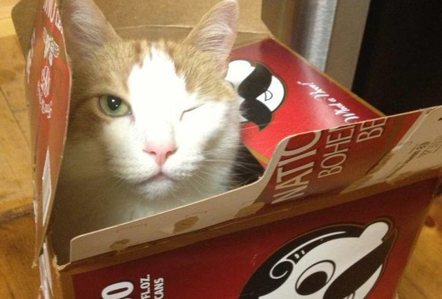 10 things you didn't know about Natty Boh - Thrillist Washington DC