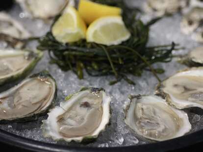 oysters