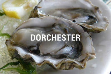Dorchester Oyster Happy Hours BOS