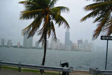 Miami Rainy Day