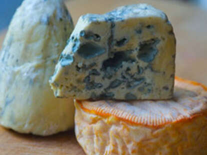 Stinky Cheese Festival - Eat - Thrillist New York