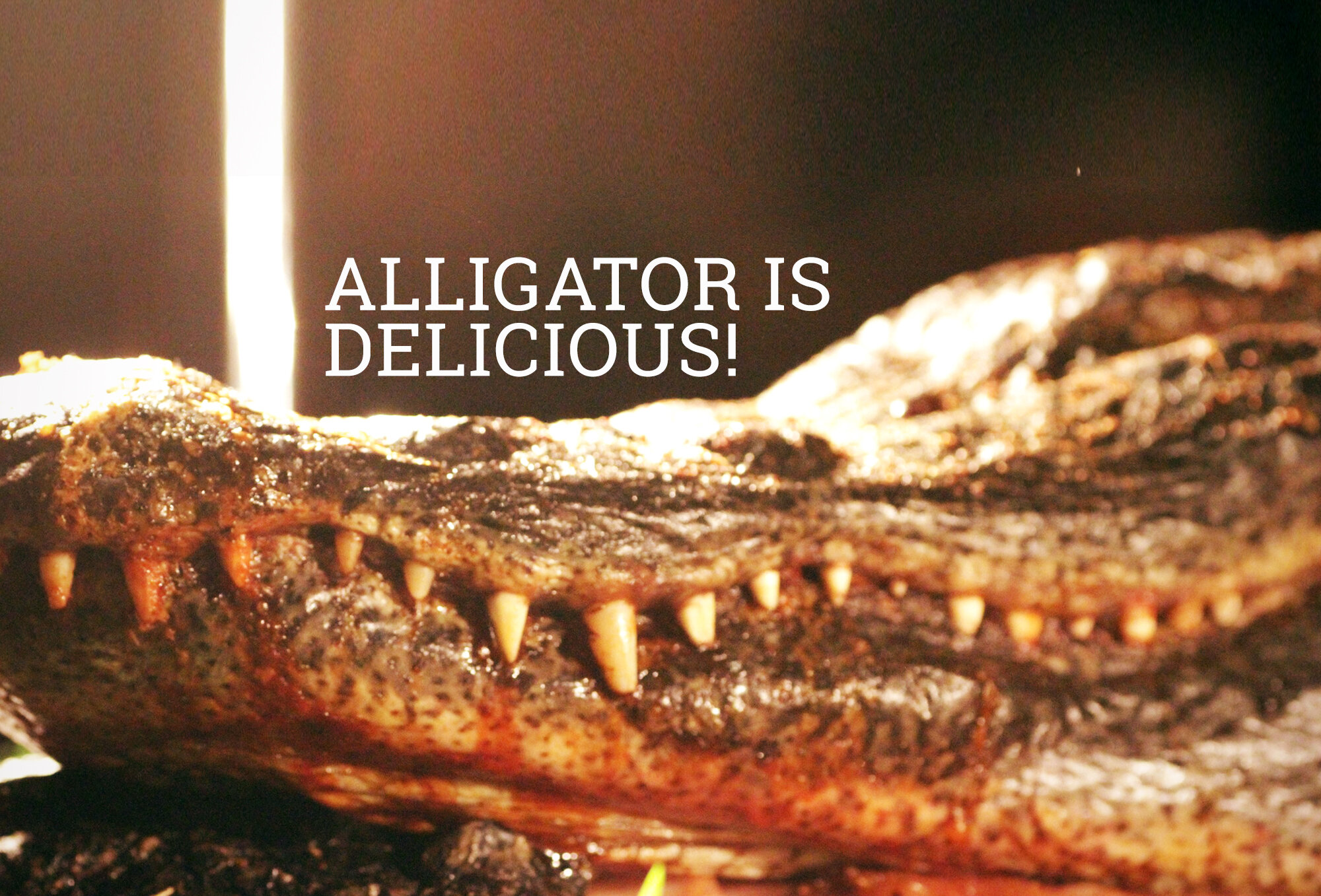 Scorpion Appetizers, Alligator Meat, Goat Penis, and More at the