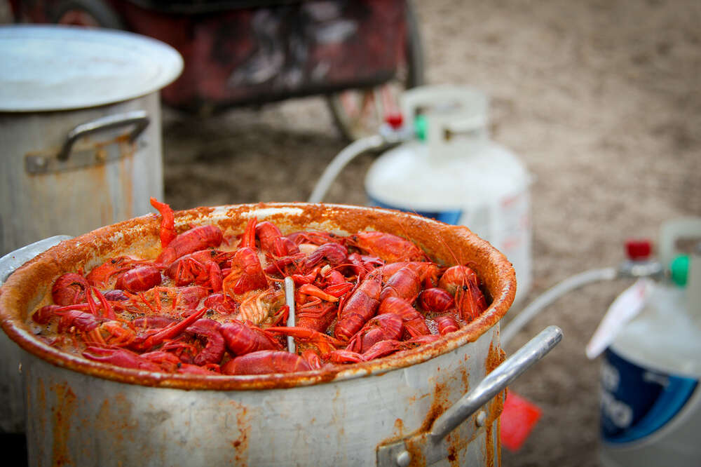 A Bucket That Boils Seafood? - Louisiana Crawfish Co