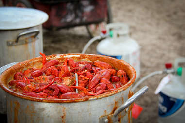 crawfish in pot crawfishes craw fish seafood boil spicy louisiana how to throw a crawfish boil