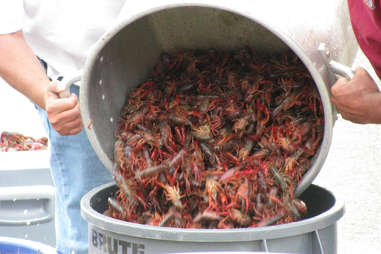 crawfish in pot crawfishes seafood boil spicy seasoning how to summer food