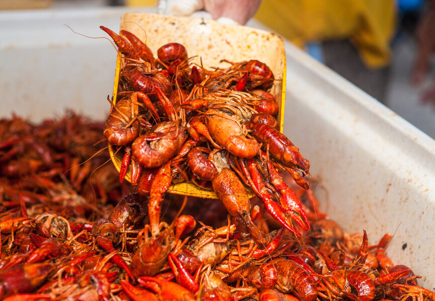 Cajun Cooking Pots  Louisiana Crawfish Company