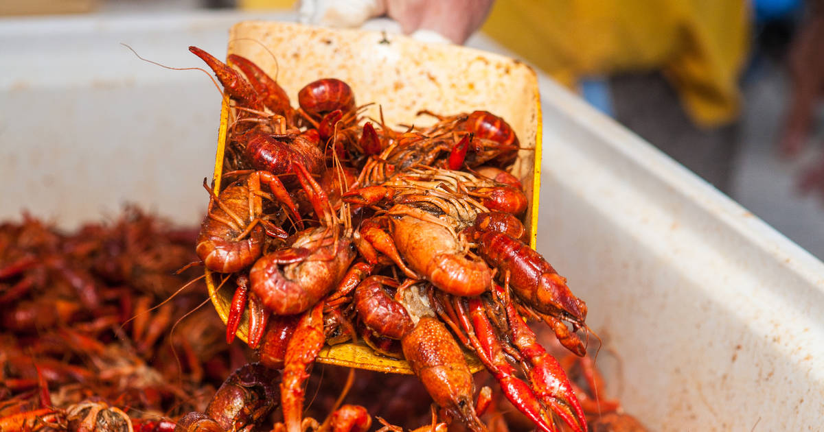 Funny Seafood Louisiana Crawfish Boil Hot Tub Short-Sleeve Unisex