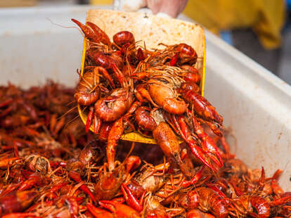 crawfish boil seafood spicy louisiana craw fish boils how to throw at home summer