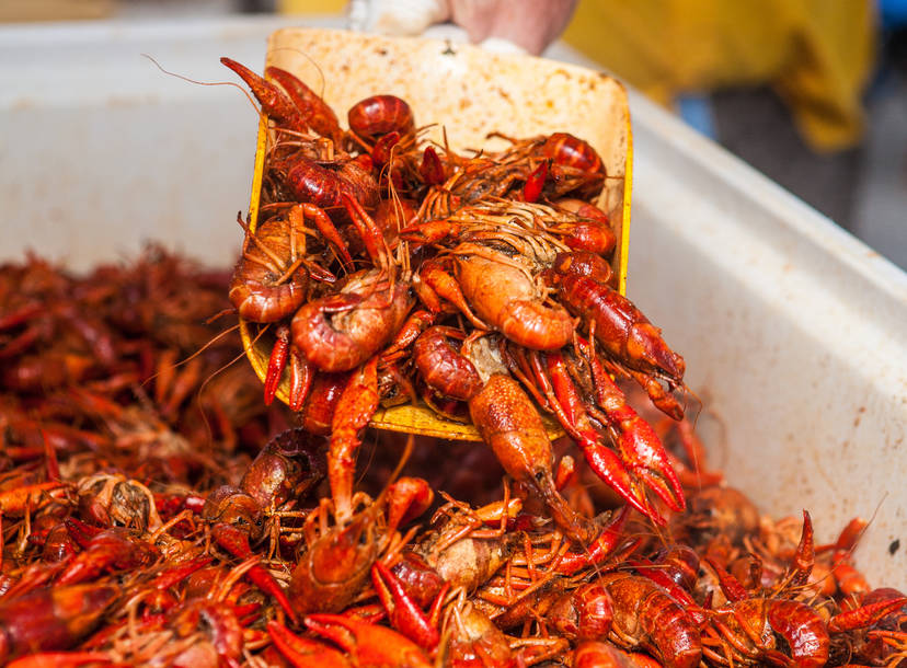 How To Do A Crawfish Boil Making A Perfect Boil According To An Expert Thrillist