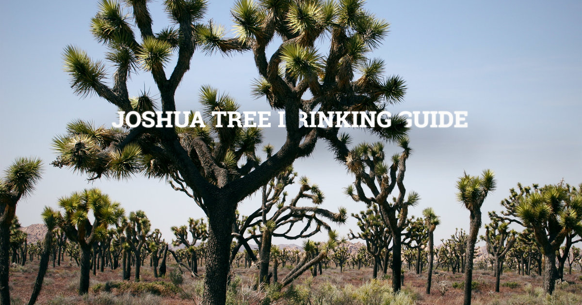 Best Joshua Tree Bars Thrillist Los Angeles