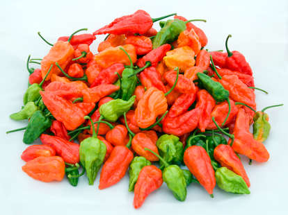 hot peppers