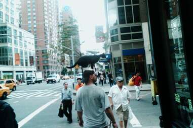 NYC Street Performers