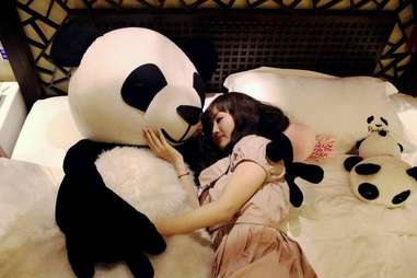 panda snuggles
