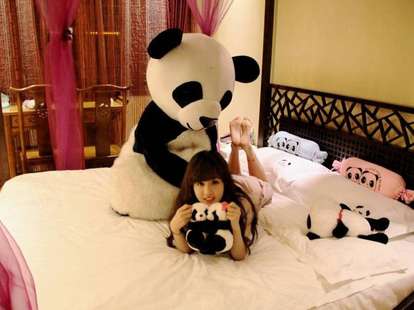 panda on bed