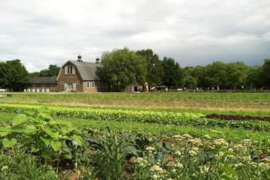 Queens County Farm Museum