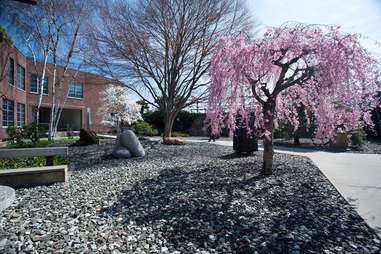 The Noguchi Museum