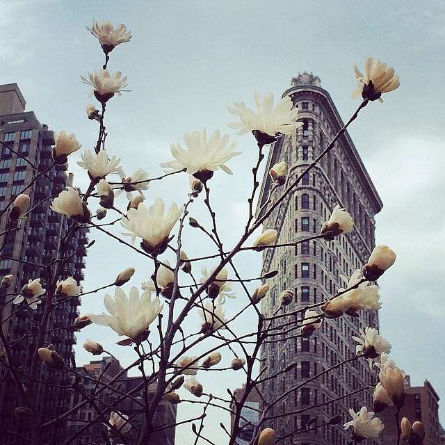 Flatiron Building, New York City