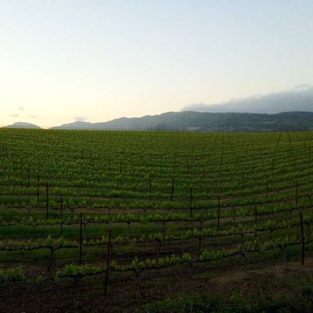 Napa Valley