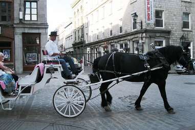 Horse-drawn carriage